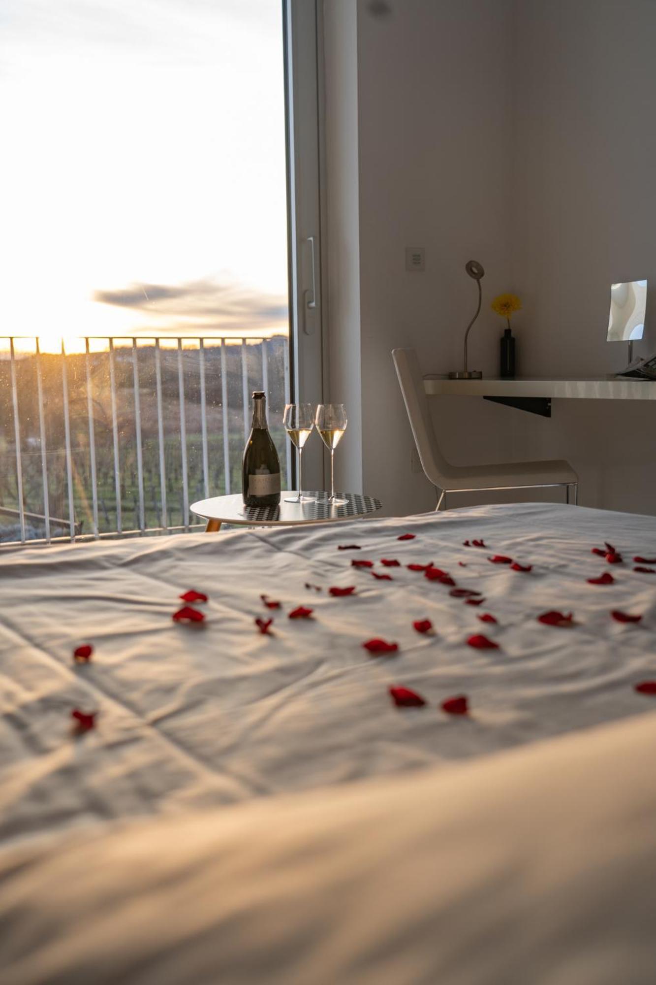 House Iaquin Hotel Доброво Екстериор снимка